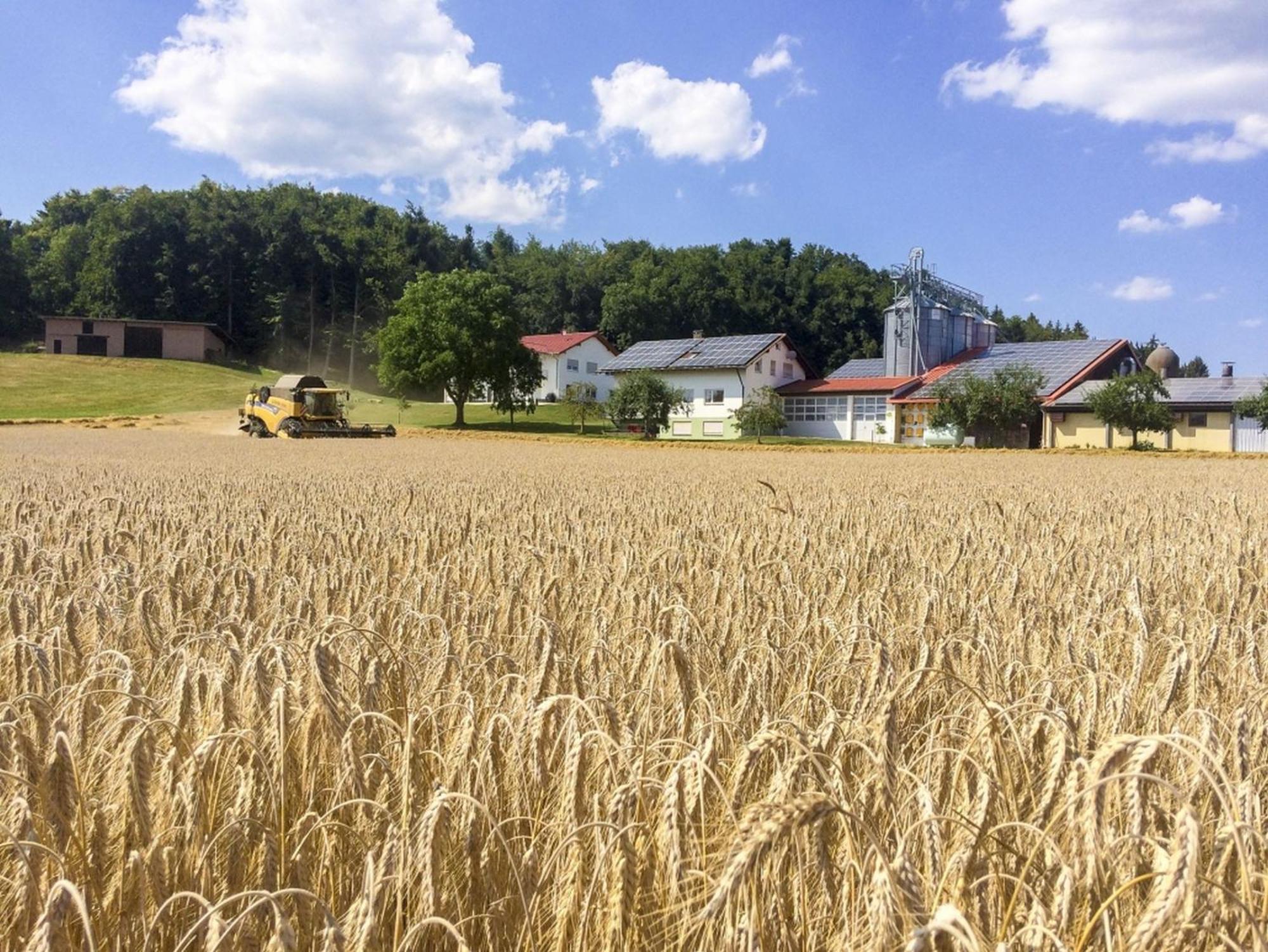 Hof Am Horn - Fewos In Der Natur Laichingen المظهر الخارجي الصورة