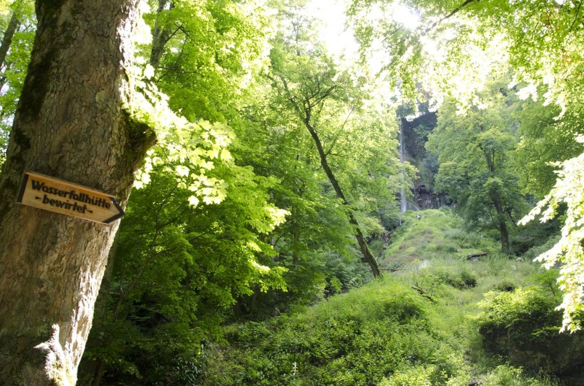 Hof Am Horn - Fewos In Der Natur Laichingen المظهر الخارجي الصورة